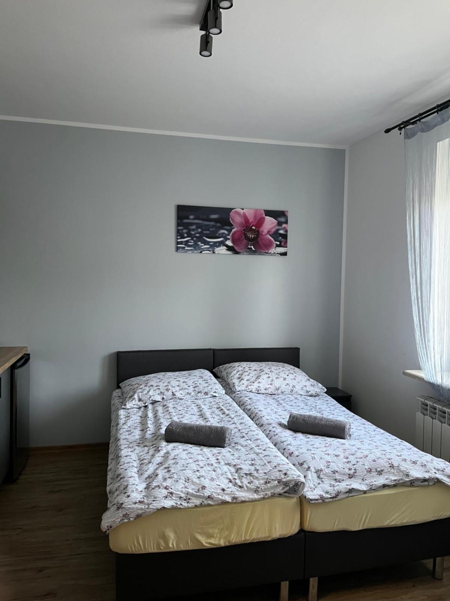 Dom Wypoczynkowy Nad Wisla Puławy 외부 사진